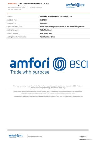 BSCI SummaryAuditReport